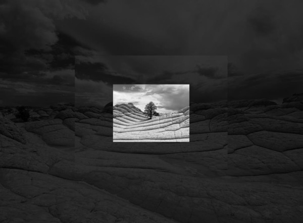 iPhone 11 Pro三種攝影形式