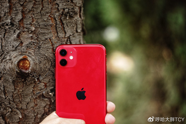 iPhone 11（圖片來自@哼哈大胖TCY）