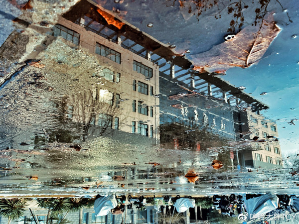 iPhone 11樣張（圖片來自@哼哈大胖TCY）